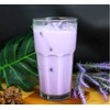 Milk Tea Group (1 PACK, TARO LATTE)