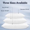 KNX Bed Pillows - Medium/Flat, 20'' x 36'', Set of