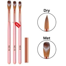 3 Pcs Acrylic Nail Brush Set for Acrylic Powder & Nail Art Painting - Brushes for Nail Design & Detailing