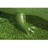Bestway 41010 Inflatable Crocodile Pool Float Ride-On, Green 168 x