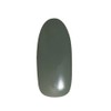 Prigel Gel Nail Color EX 70's Olive 845 Color Gel
