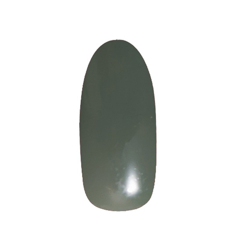 Prigel Gel Nail Color EX 70's Olive 845 Color Gel