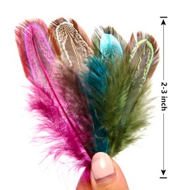 THARAHT Pheasant Plumage Feathers 120pcs Natural 2-3 Inches for Thanksgiving Crafts Hats Sewing Clothing Wedding Dream Catcher Decoration Feathers,Multicolored
