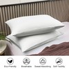 Lirex Pack of 2 cushion covers, 50 x 80 cm,