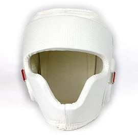 ISAMI Wide View Head Guard II TT-45 (L)