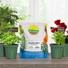 Dry Horticultural Molasses Powder (4 Pounds), Indoor/Outdoor Gardening Soil Amendment