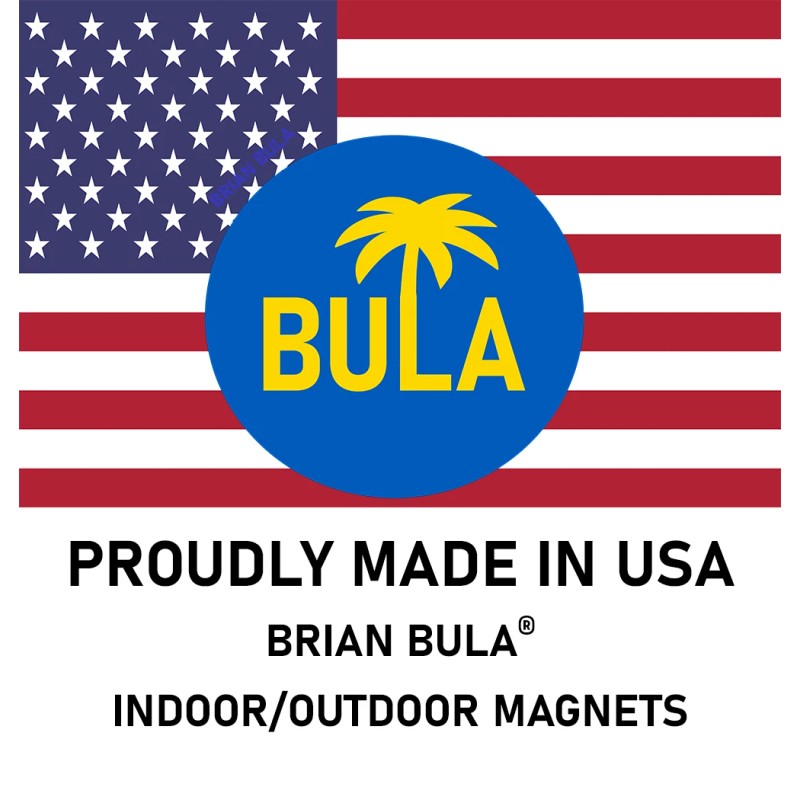 Brian Bula Anti Hamas American Flag Magnet Large 3x9 Bumper