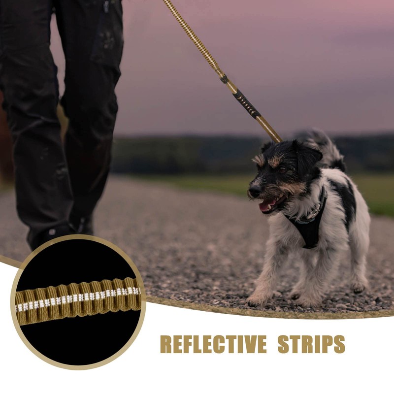 Raipult Heavy Duty Tactical Bungee Dog Leash, 4-6FT No Pull
