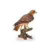Hi-Line Gift Ltd. Wild Hawk Standing on Branch Garden Statue