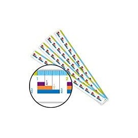 EAI Education Fraction Ruler - Set of 10