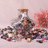 SigMntun Polished Stone Set - 200 pcs Tumbled Stones and