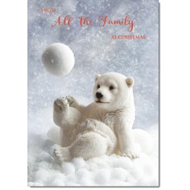 doodlecards From All The Family Christmas Card Polar Bear and Snowball Medium Size Christmas Card for From All The Family with Plain Envelope