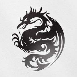 Transparent Decal Stickers of Dragon Silhouette 5 (Black) Premium Waterproof Vinyl Decal Stickers for Laptop Phone Accessory Helmet Car Window Mug Tuber Cup Door Wall Decoration ANDauto085226BL