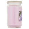Mainstays 20oz Scented Candles 3-Pack (Lilac Breeze)