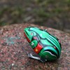 Superfreak Tin Toy Tin Frog 2