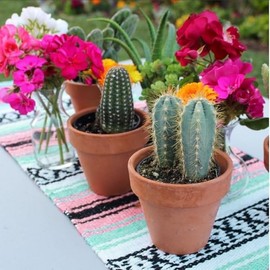 Del Mex - Camino de mesa tradicional mexicano Falsa (rosa claro/menta)