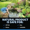 CrystalClear ClarityMax, All-in-One Pond Clarifier Treatment, All-Natural Beneficial Microbes &