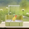 IYOIYA Bird Bathing, Container, Parakeet, Shower, Bathtub, USB Powered, Cockatiel,