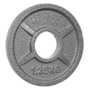 POWER EXTREME Cast Iron Weight Plates with 2 Grip Holes,