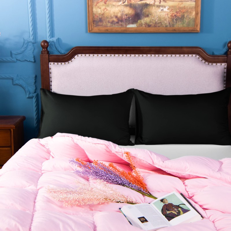 NTBAY 2 Pack 500 Thread Count 100% Egyptian Cotton Pillow