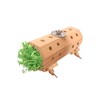 Activity Forager - Large Parrot Foraging Toy Bolt On