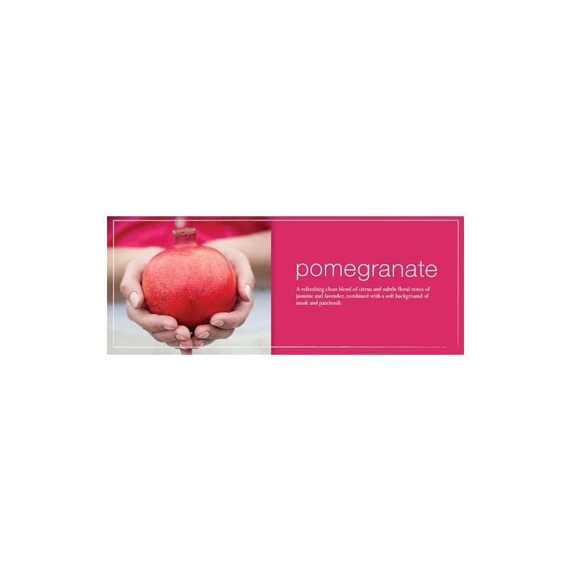 Mangiacotti Kitchen Soap and Surface Cleaner Set, Pomegranate