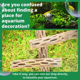 Hexagrowth Cholla Wood Shrimp Hideout, Habitat for Fish, Toy for Gecko, Hermit, Snake, Isopods, Millipedes, Beetle, Snail, Airplant Decor, Bird Perch, Untreated Size 6'' Long, 1'' Diameter (3 Pieces)