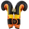 Ring to Cage Molded-Foam and Gel-Lined Training Boxing Gloves (14oz)