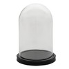 MAISONICA Glass Display Bell Jar Round Cloche on Black Wood