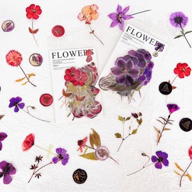 Pressed Flower Transparent Stickers for Scrapbooking , 80pcs Scrapbook Accessories PET Waterproof Dried Floral Stickers for Adults,Scrapbook Supplies for Journal,Laptop,Card Making（red purple）