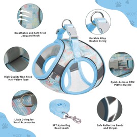 PawSailor Anti-Pull Dog Harness and Lead Set, Breathable, Adjustable, Reflective with Floral Print, Soft Padded Vest Harness for Medium Dogs, Blue, L