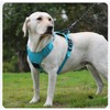 Waterproof and Breathable Dog Harness Sized, No Pull Pet Harness,