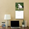 2026 Labs Monthly Wall Calendar | 12" x 24" |