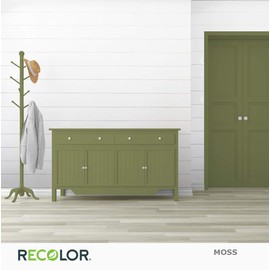 RECOLOR Paint Recycled Chalk Latex Paint, 1 Quart, Chalk - Moss