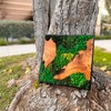 Evergreen Oasis Natural Cedar Wood & Preserved Moss Wall Art