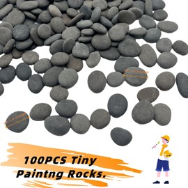CYLHCM 100PCS Tiny Painting Rocks,DIY Pebble for Painting Detail-Painting Smooth Surface Stones,Arts,Crafts, Garden,0.6 to 1.0 inches,Hand Picked Rocks for Painting