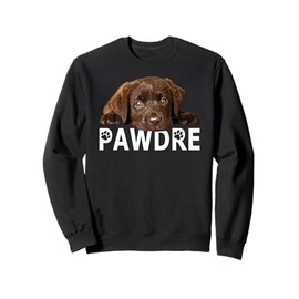 Chocolate Lab Dad The Dog Father Brown Labrador Retriever = Sweatshirt
