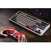 8Bitdo Retro Mechanical Keyboard, Bluetooth/2.4G/USB-C Hot Swappable Gaming Keyboard with