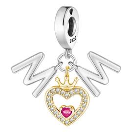 PANPOKI Abalorio de plata de ley 925 para pulsera, compatible con pulseras europeas, Universal Kompatibilität Charms, Plata de ley, No es una piedra preciosa