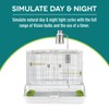Hari Vision Compact Cage Lamp Fixture, Bird Cage Lighting Accessory,