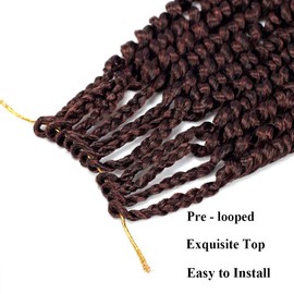 Passion Twist Hair 10 Inch Pre-twisted Passion Twist Crochet Hair for Women Pre-looped Water Wave Crochet Braids Bohemian Curly Crochet Hair Synthetic Hair Extensions 8 packs 1B/350