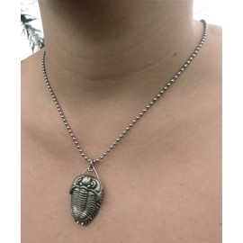 TaylorCustom Trilobite Pendant with Magnifying Glass - Paleontology Magnifier Necklace