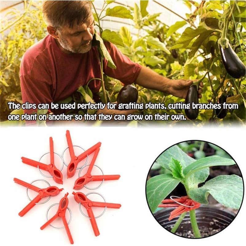 600 Pcs Gardening Plant Round Mouth Grafting Clips Vegetable Clips