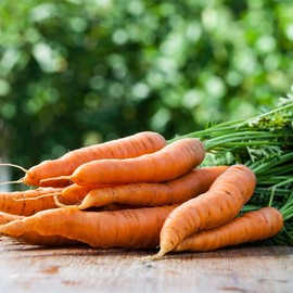 Carrot-Amsterdam (3600 Seeds)
