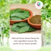 Triple Sifted Henna Powder For Hair | 2 Pound Bulk