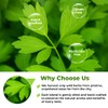 4 oz. Dried Lovage Herb Lovage Leaves Herbal Tea (Levisticum