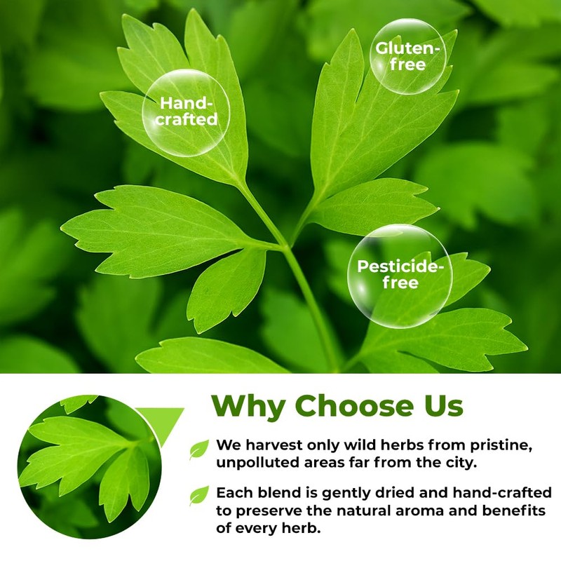 4 oz. Dried Lovage Herb Lovage Leaves Herbal Tea (Levisticum