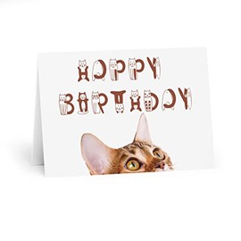 Bengal Cat Happy Birthday Card - Whimsical Peekaboo Feline Design - Fun Birthday Wishes for Cat Lovers - Blank Inside