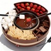 JoyMech Cheese & Chocolate Fountain Machine with 4-Section Food Trays,