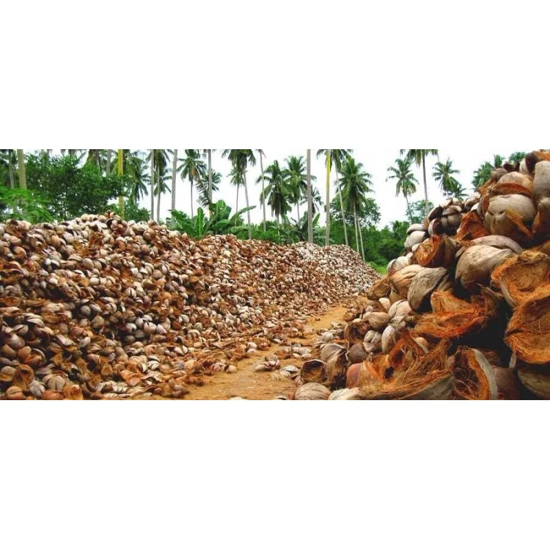 Carbon Activado En Polvo Super Fino 1 Kilo